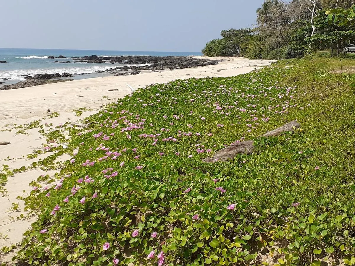 Lanta Daisy Residence Ko Lanta Gasthof